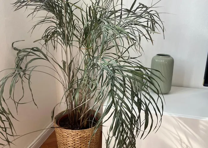 Nona Marija Centar Apartmán