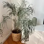 Nona Marija Centar Apartment